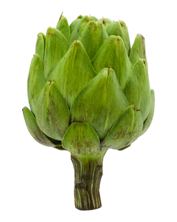Artichoke Soup
