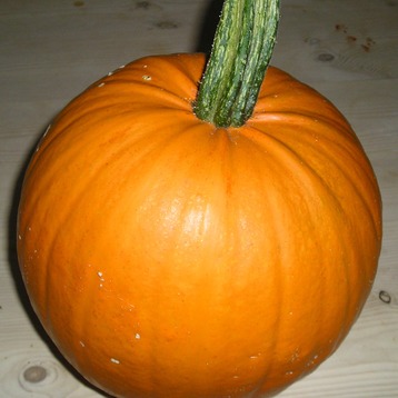 Pumpkin Pie