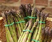 Asparagus Wrapped in Parma Ham