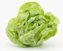 Lettuce Soup