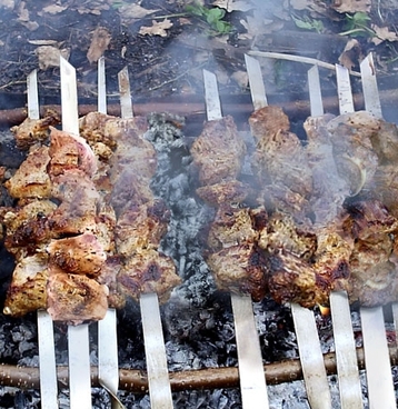 Spicy Lamb Kebabs
