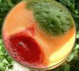 Raw Vegetable Super Juice