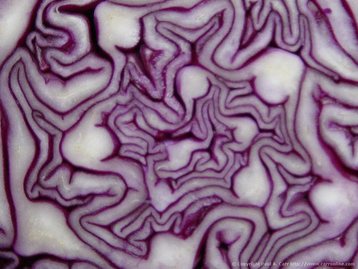 Red Cabbage Toss