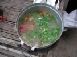 Tom Yum Gai - Thai Hot and Sour Chicken Soup