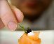 Smoked Salmon and Chive Mini Tartlets
