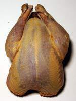 Simple Roasted Pheasant