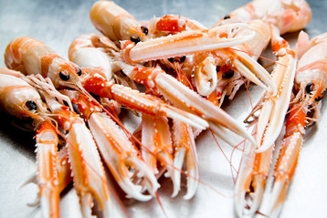 Battered Dublin Bay Prawns