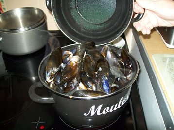 Thyme Steamed Mussels