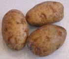 Crispy and Fluffy Roast Potatoes