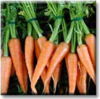 Thyme and Honey Roasted Carrots
