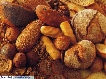 Bread Rolls (bread Machine)