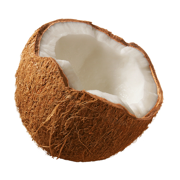 Coconut Truffles