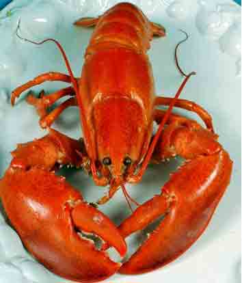 Skinny Lobster Thermidor