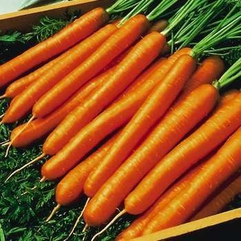 Horseradish Carrots