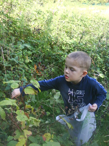 Blackberry Jam