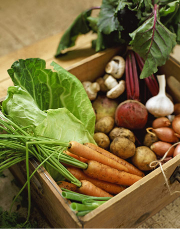 Hearty Vegetable Soup