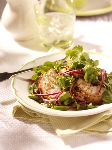 Clover Glazed Chicken Breasts with Honey, Mustard & Soy