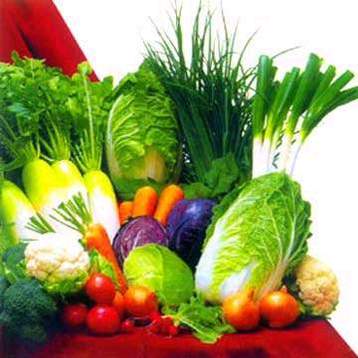 Cabbage Soup Diet