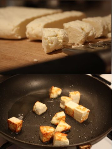 Home Made Paneer