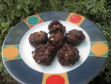 Beaconhill Bites - Low Fat Rich Chocolate and Hazelnut Cookies