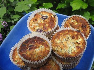 Blueberry, Lemon and Poppy Seed Muffins (butter / oil free!)