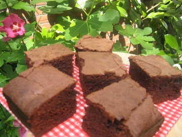 Mint Chocolate Brownies