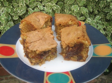 Coconut and Double Chocolate Blondies