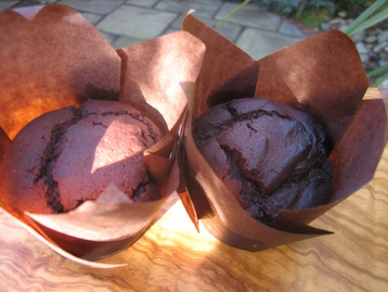 Chocolate Custard Muffins