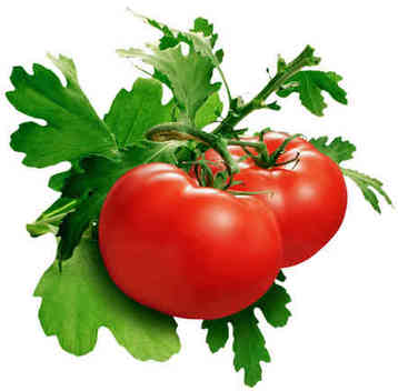 Tomato Dressing