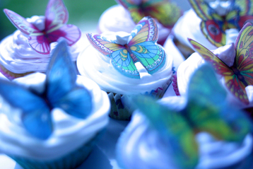 Butterfly Cupcakes - A Feast For the Eyes and Tummy!