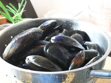 Molly's Cockles and Mussels