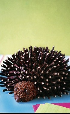 Annie Rigg's Prickly Hedgehog Birthday Cake