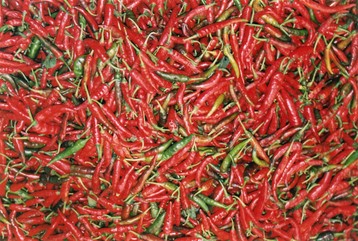 simple quick chilli dipping sauce