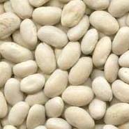 Hearty and Healthy Bean Soup