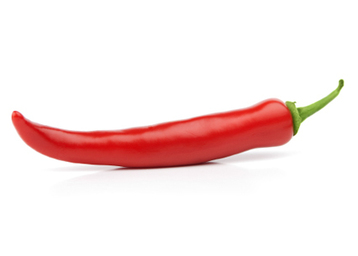 Brighton Togs Chilli Dippings